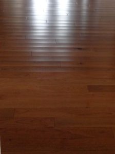 Hardwood Floor with Cupping