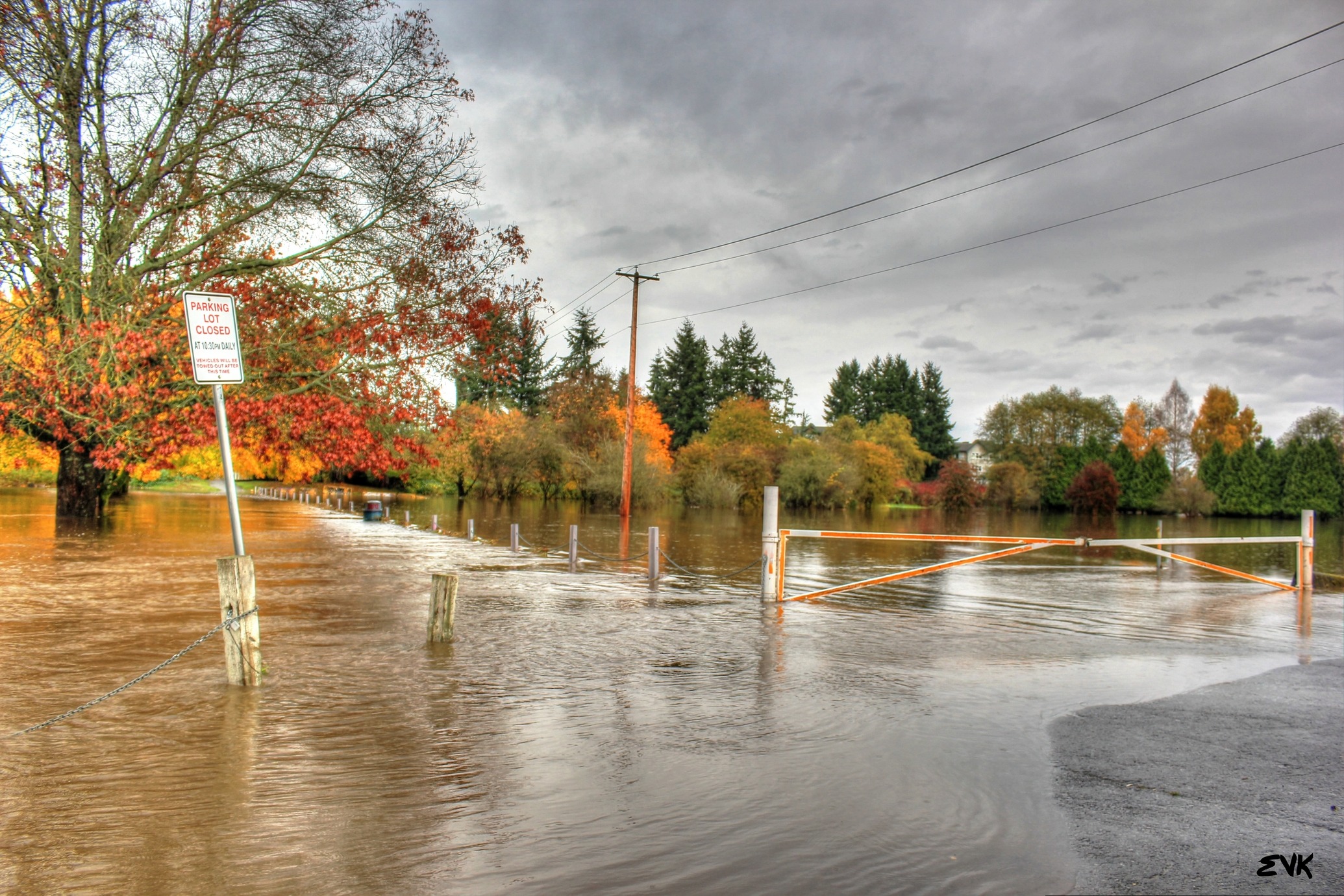 flooded street with trees around