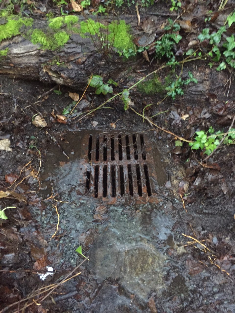 stormwater drain