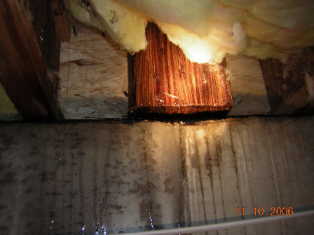 Water soaked crawl space