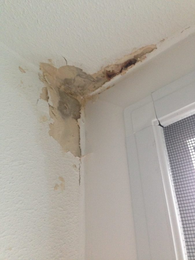 water damage in the corner of a room